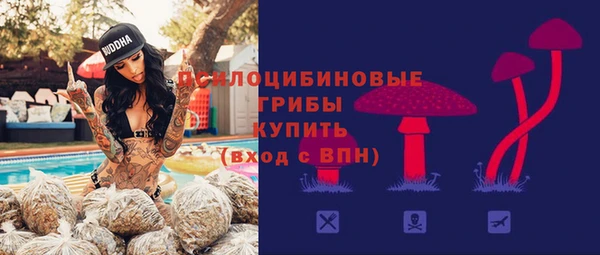 молекула духа Беломорск